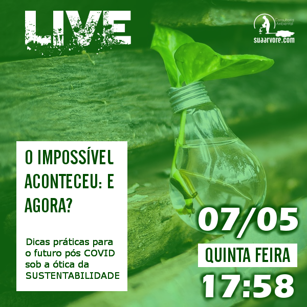 Reprodução/Facebook Sua Árvore Live: Dicas práticas para o futuro pós-COVID sob a ótica da sustentabilidade