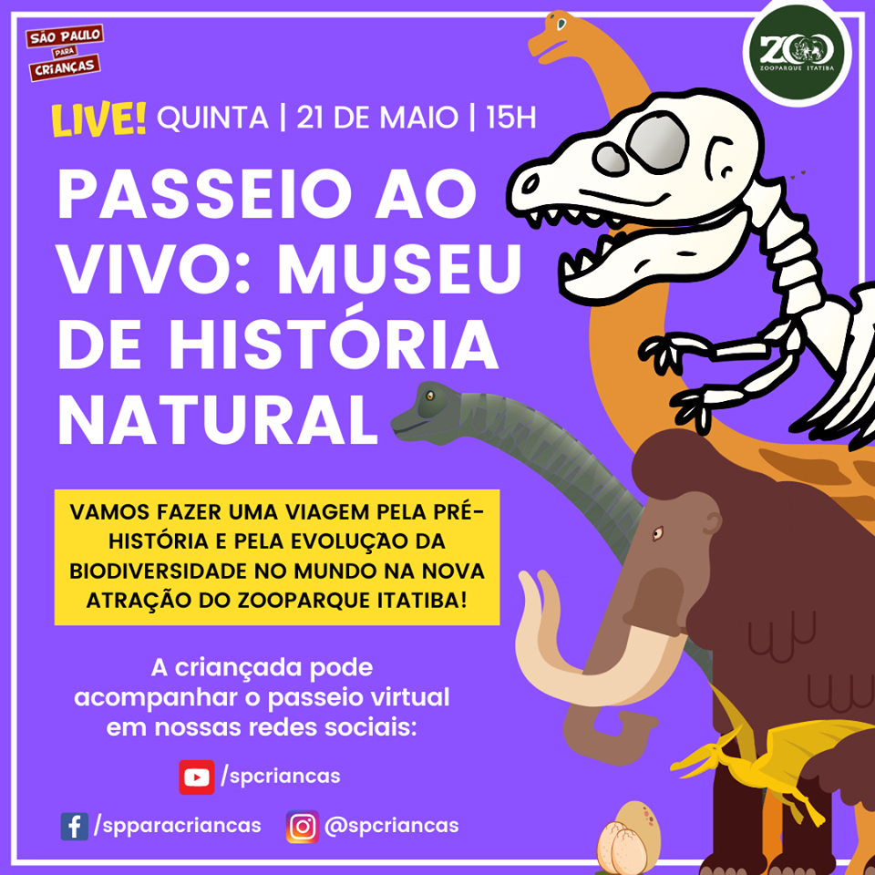 Live: Passeio Ao Vivo no Museu de História Natural - SP para Crianças