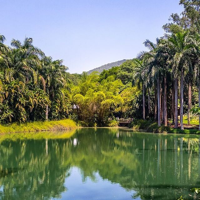 Web Série "Diálogos" - Inhotim