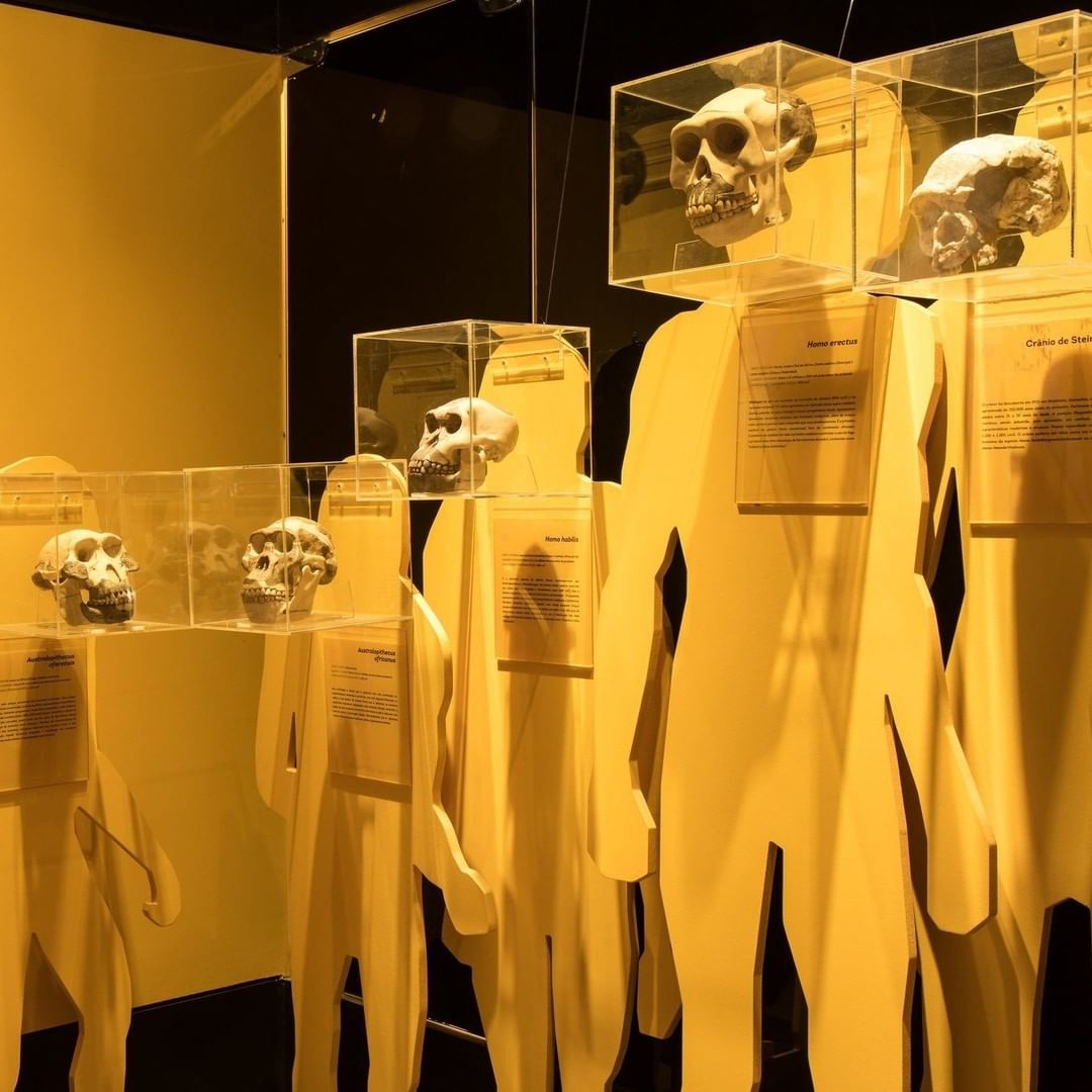 Museu de História Natural e Jardim Botânico da UFMG