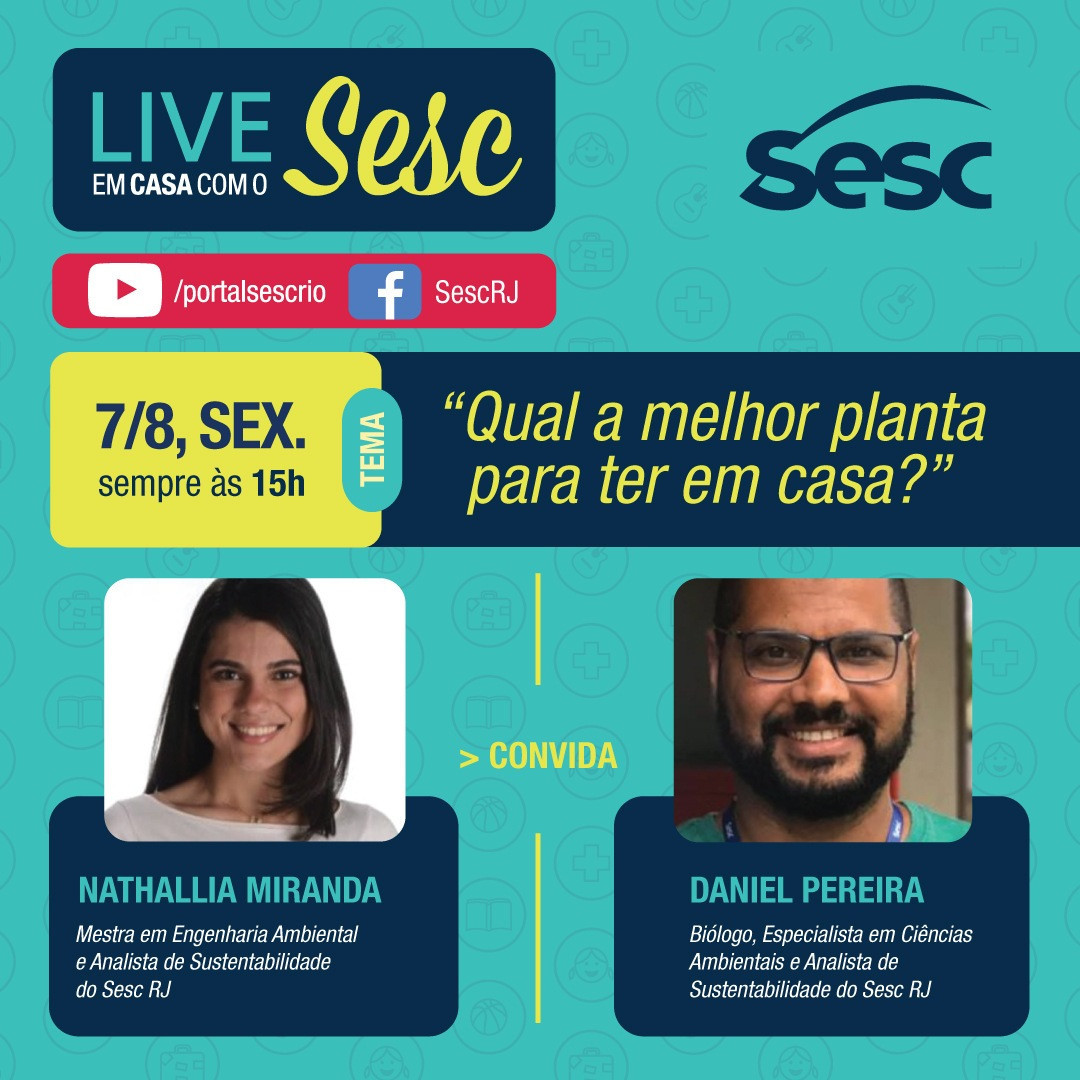 Live Em Casa Com O Sesc: Qual a Melhor Planta Para Ter Em Casa?