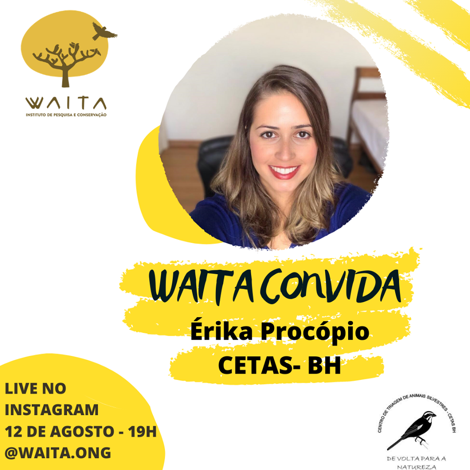 Reprodução/Facebook Waita Instituto de Pesquisa e Conservação Live: Tráfico de animais silvestres