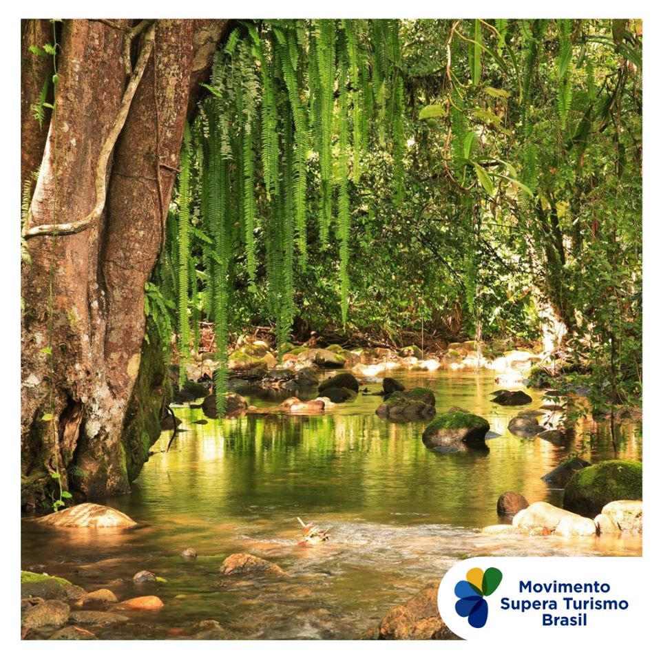 Reprodução/Facebook Movimento Supera Turismo Live: Potencial do turismo para promover o desenvolvimento econômico e a proteção da natureza