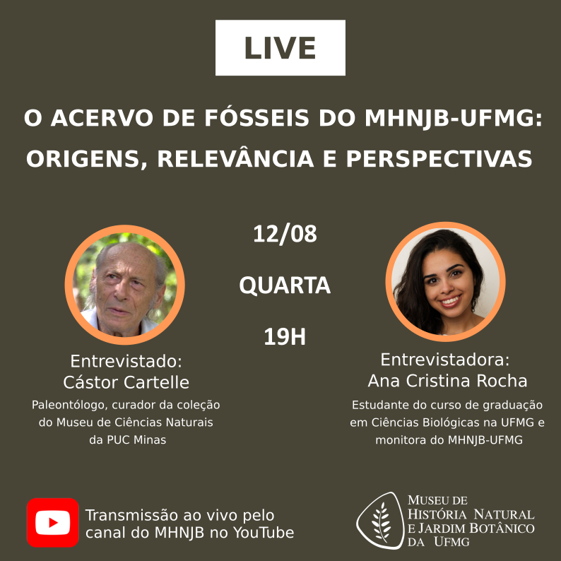Reprodução/Evento oficial Live do MHNJB com o prof. Cástor Cartelle