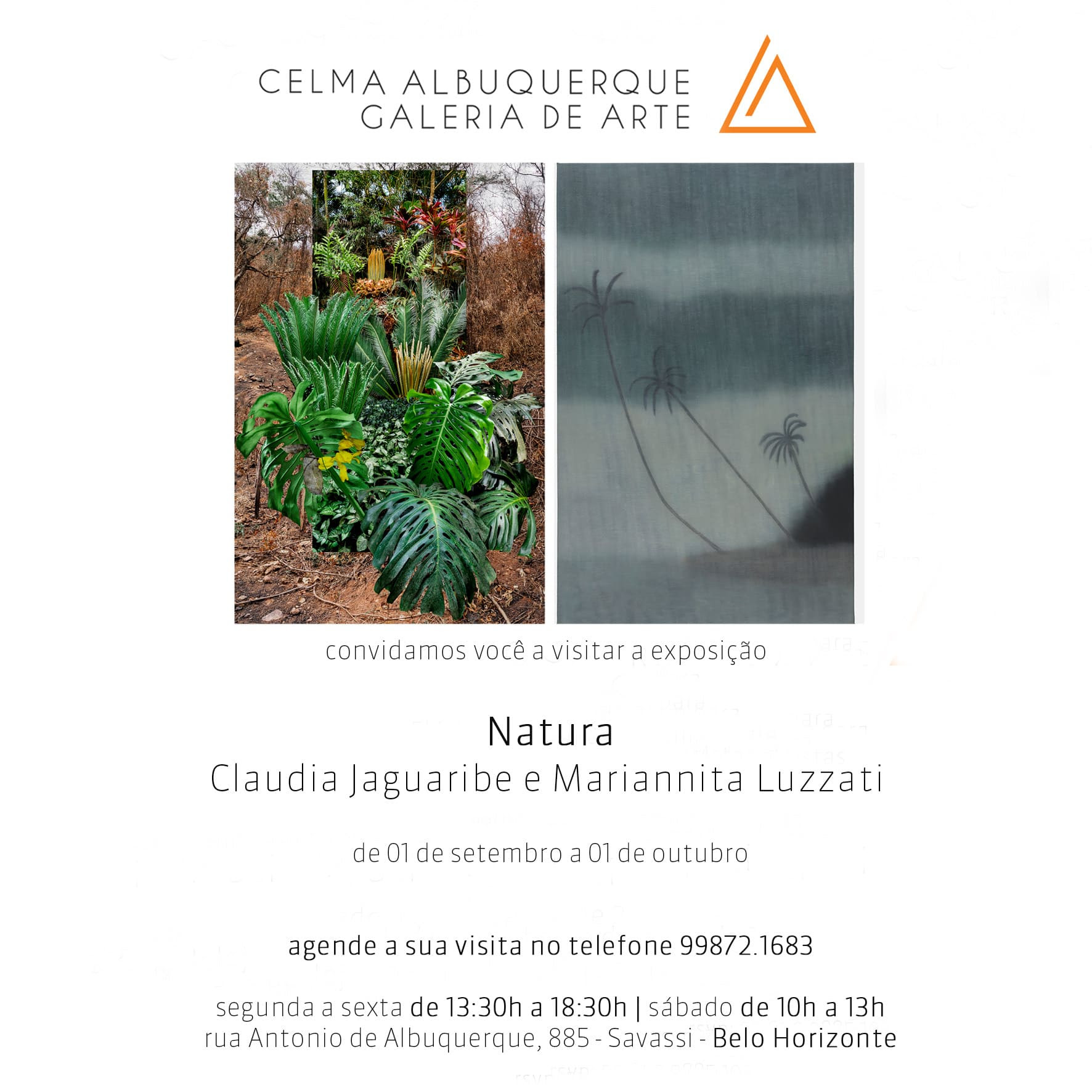 Claudia Jaguaribe e Mariannita Luzzati | Exposição: Natura