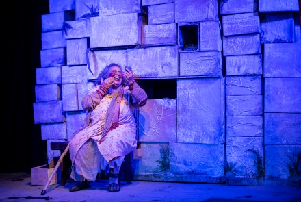 Projeto "Doida no Quintal"