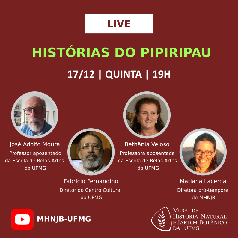 Histórias do Pipiripau - Live
