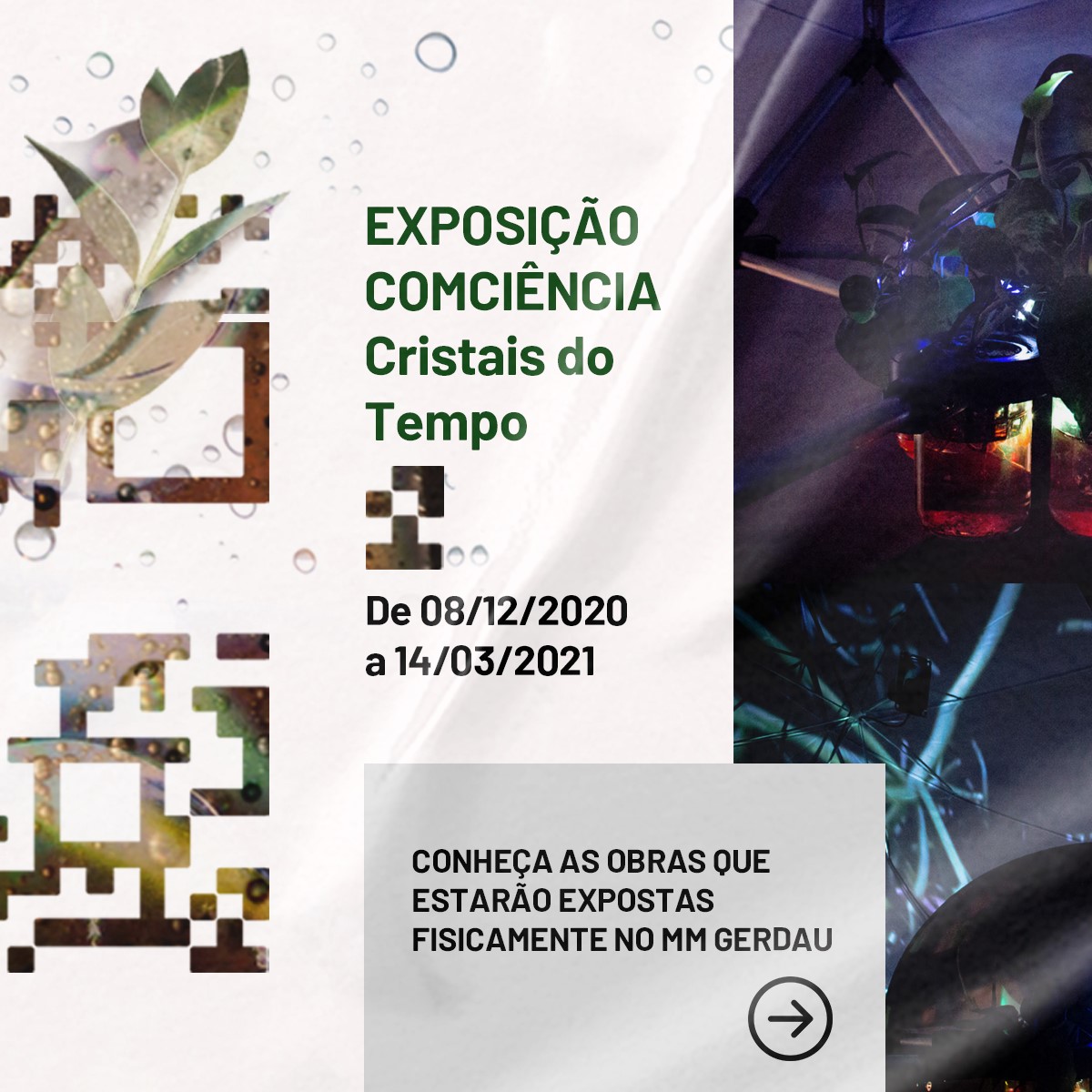 Bate-papo virtual “Processos Artísticos na Exposição CoMciência: Cristais de Tempo com Bruno Alencastro" - MM Gerdau