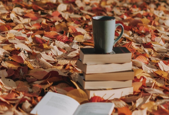 Contar Histórias - Espaço do Conhecimento UFMG