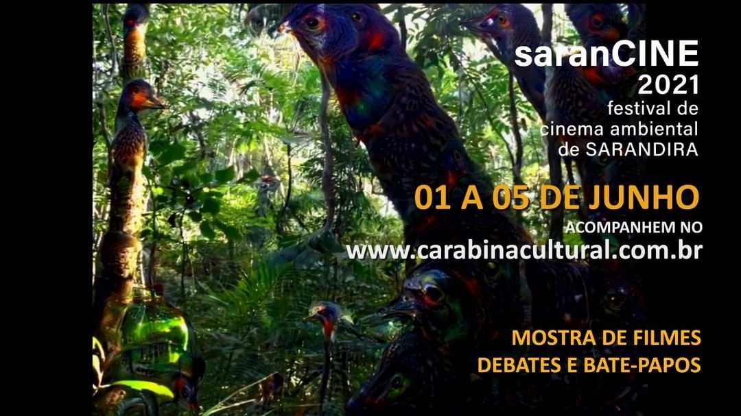 SARANCINE 2021 - Festival de Cinema Ambiental de Sarandira (Edição On-line)