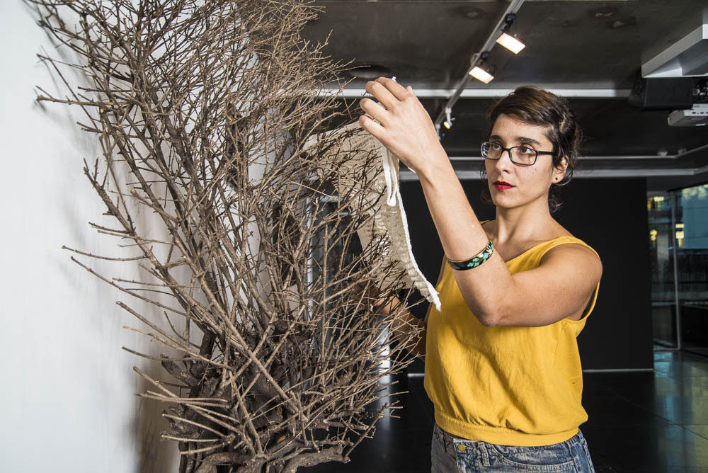 Exposição: "Longo Prazo" de Clarice G Lacerda