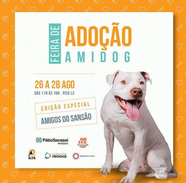 Feira de Adoção AMIDOG