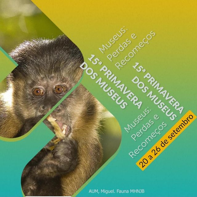 Museu de História Natural e Jardim Botânico da UFMG - 15ª Primavera dos Museus 