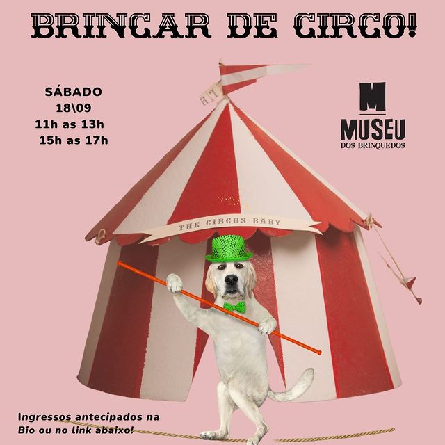 Brincar de Circo - Museu dos Brinquedos