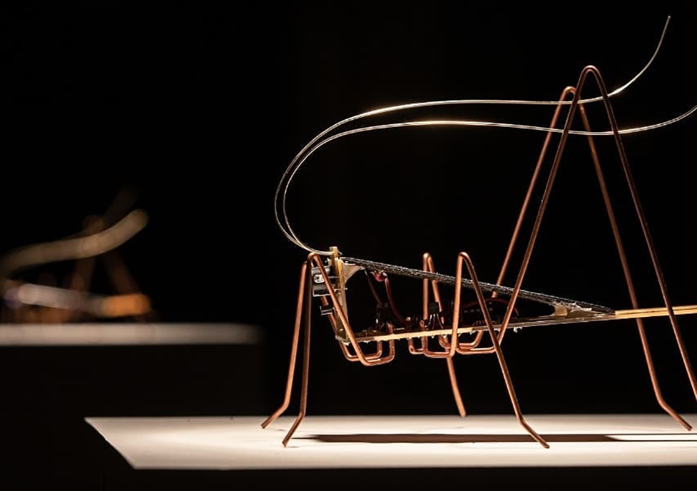 Exposição: Paulo Nenflidio - Museu de Artes e Ofícios