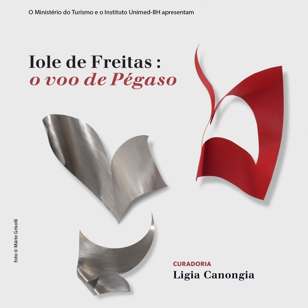 Exposição: "O Voo de Pégaso" de Iole de Freitas 