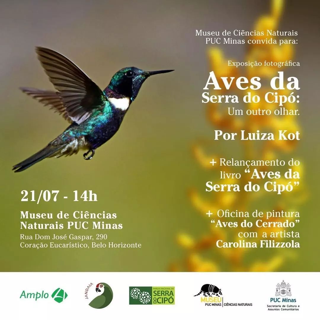 Exposição fotográfica: "Aves da Serra do Cipó: Um outro olhar" | Museu de Ciências Naturais - PUC Minas