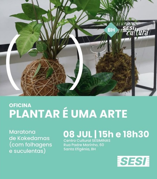Plantar é uma arte