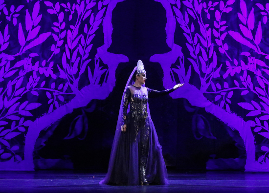 Intervenção: Ópera "Rainha da Noite"