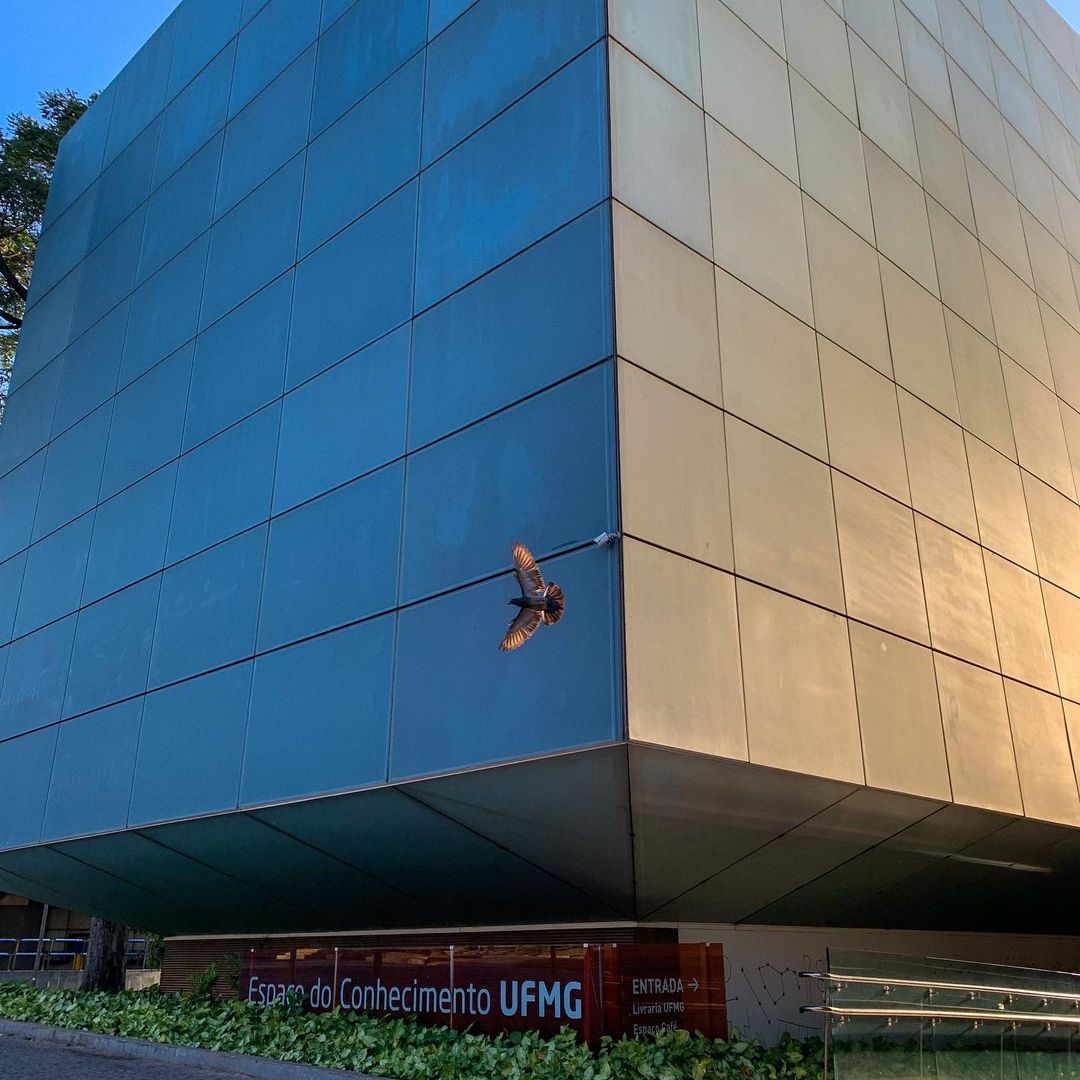 Concerto para bebês: "Dó-Mi-Bebê" | Espaço do Conhecimento UFMG