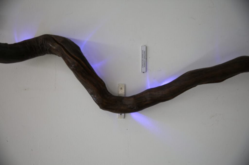 Exposição do objeto: ‘Luz’, da artista Conceição Perrout