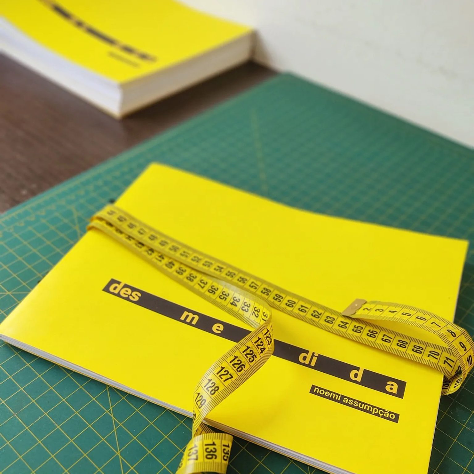 Fotografia: Beatriz Mom Desmedida Performance + Lançamento de Livro | Memorial Vale