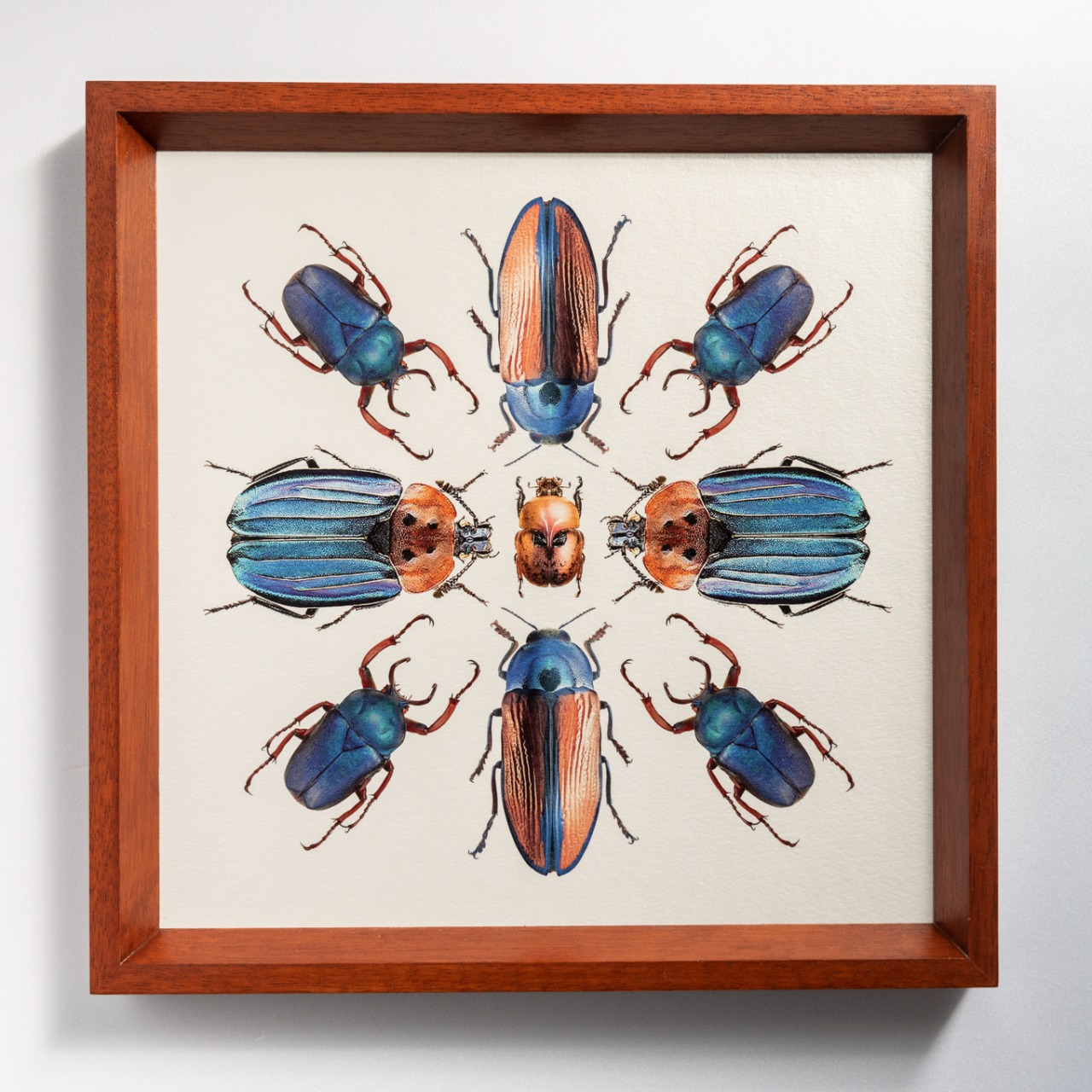  Mostra InsectArts: "Os pequenos Notáveis"