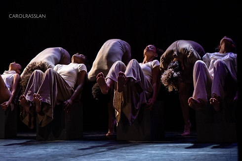 Foto: Carol Rasslan Bicho no Concreto