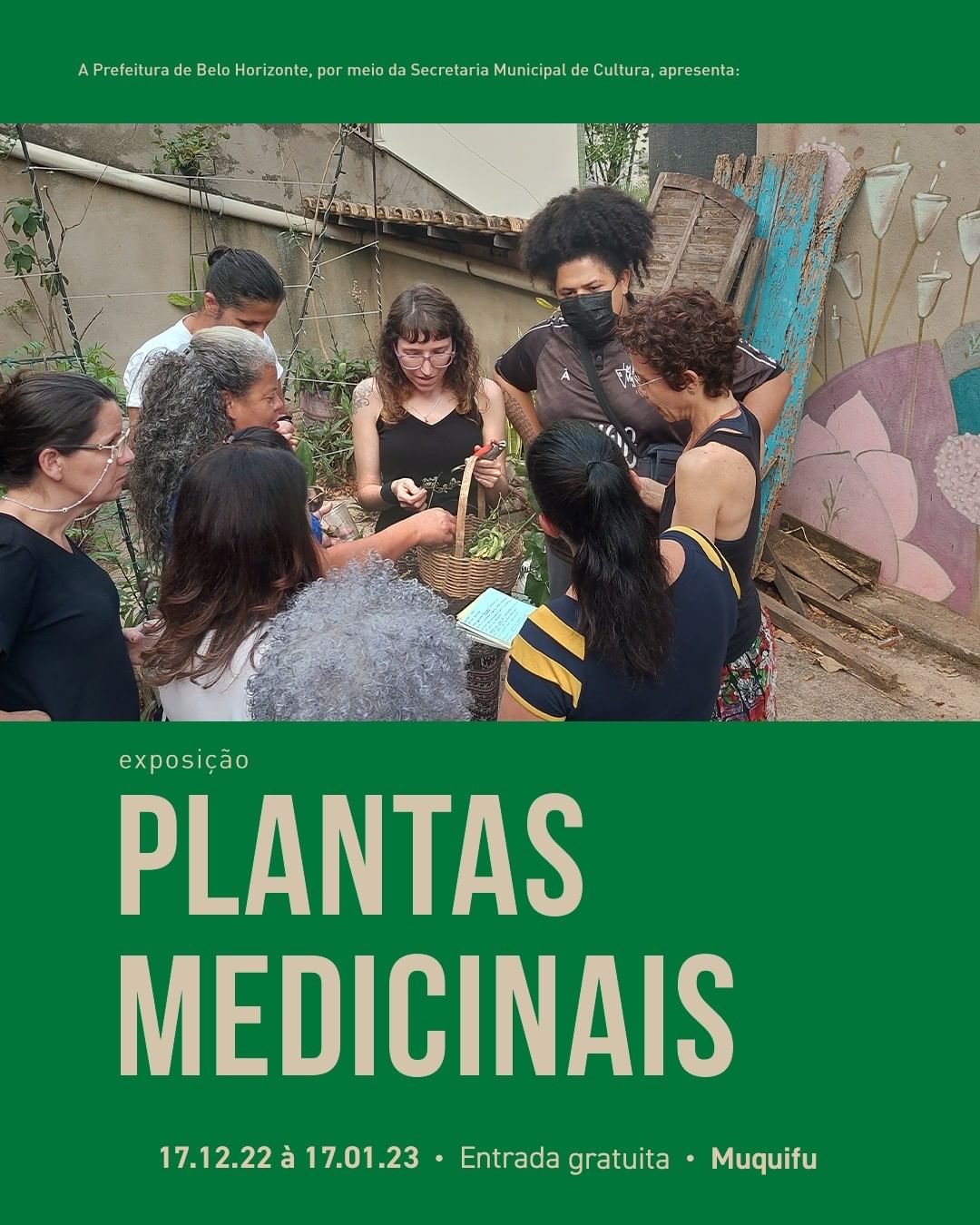 Exposição: Plantas Medicinais | Muquifu - Museus dos Quilombos e Favelas Urbanos