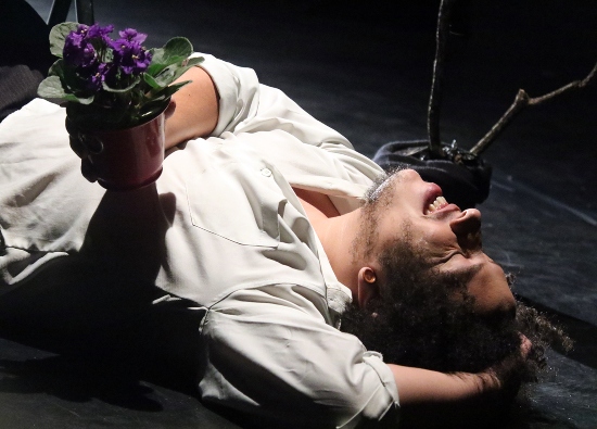  5ª Edição: “Me Mostra – Mostra de Cenas Curtas”