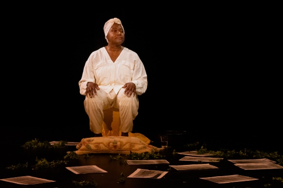 7ª Mostra Benjamin de Oliveira