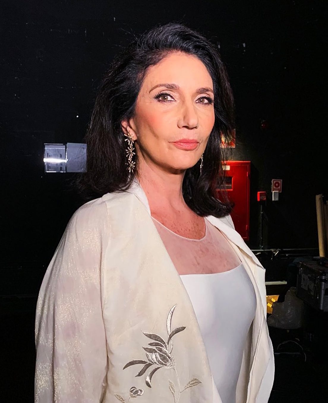 Reprodução Instagram Show: Zizi Possi em "Uma voz, um instrumento"