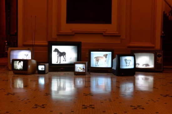 Exposição: Retro/Ativa de Eder Santos | Memorial Vale