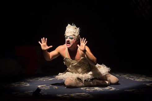 Boa Noite Cinderela /Cia Cena Cômica