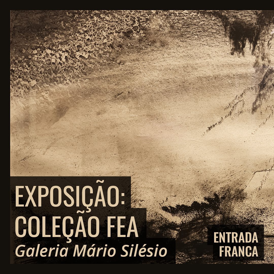 Exposição: “Coleção FEA”