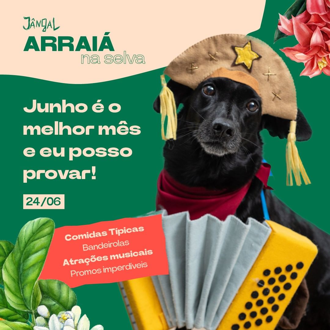 Arraiá na Selva - Jângal 