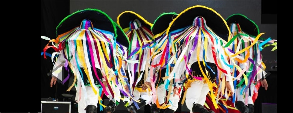 Espetáculo: "Alumiar, Bois a Encantar" - Grupo Sarandeiros