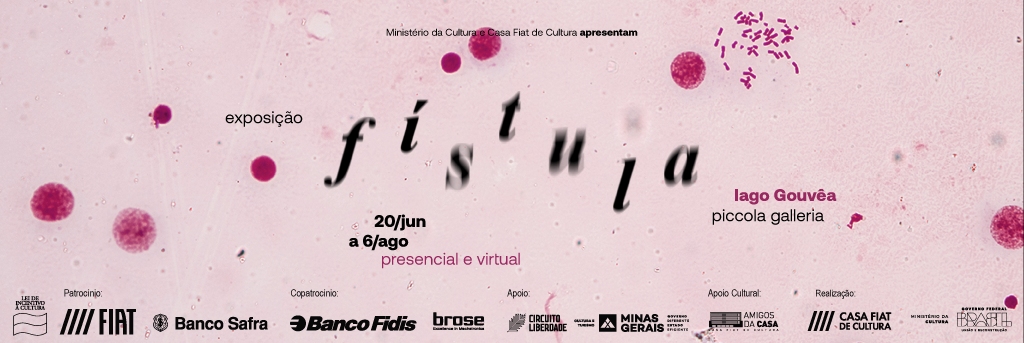 Exposição: Fístula