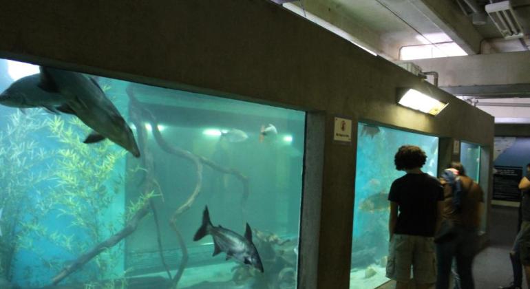 Aquário Bacia Rio São Francisco