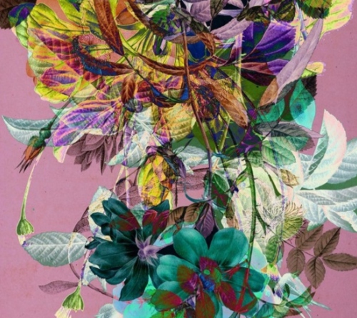 Brígida Campbell: Ao Lado de um Pardal o Dia Dorme Antes