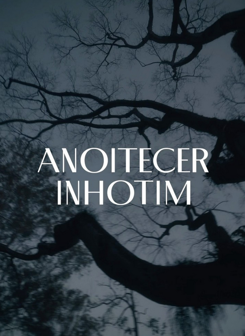 Festa: Anoitecer Inhotim
