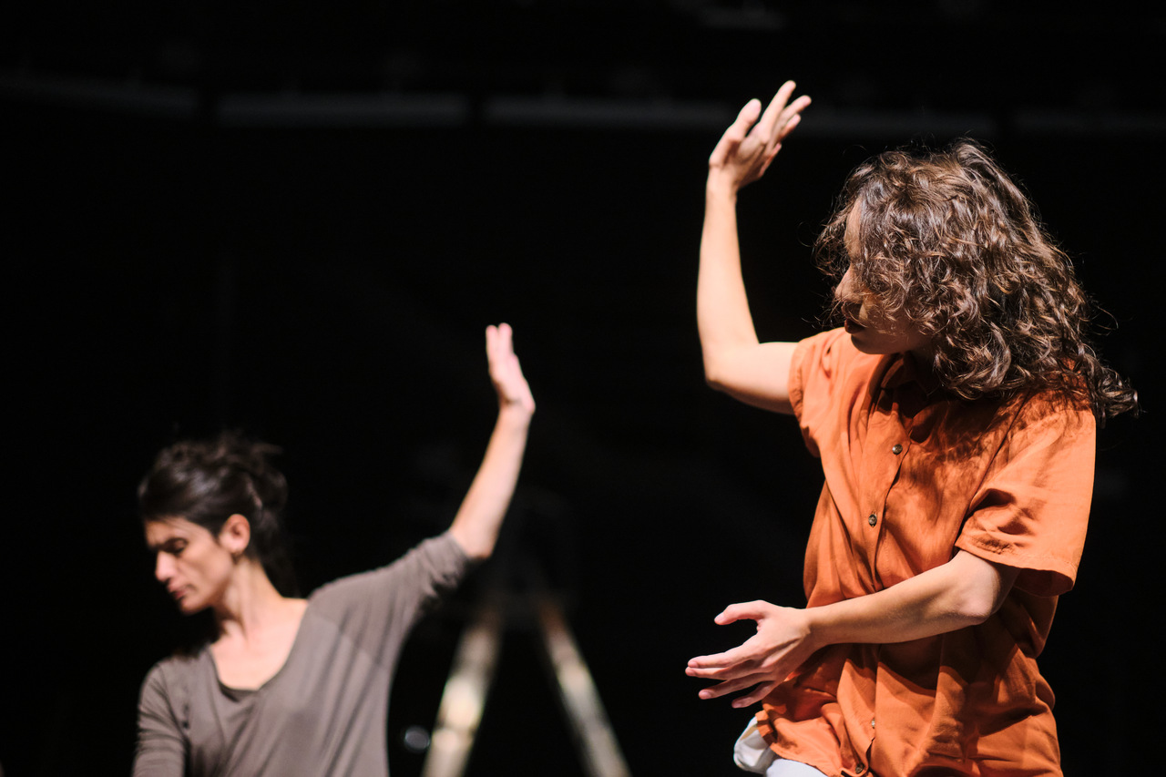 Reencontro de Improviso