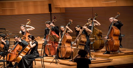 Concerto: “Mozart: a música que criou o ícone” - Orquestra OVO