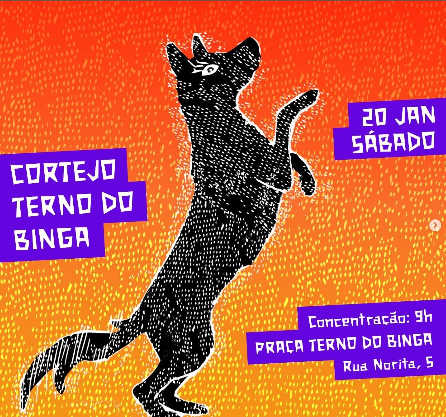 Ensaio: Bloco Humaita Cultura