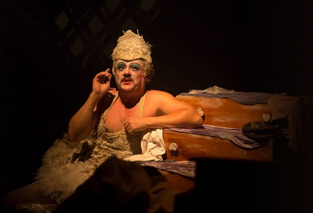 Espetáculo: Boa Noite Cinderela