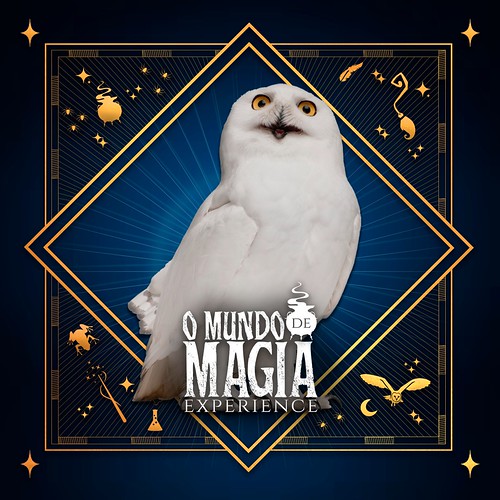 O Mundo de Magia Experience