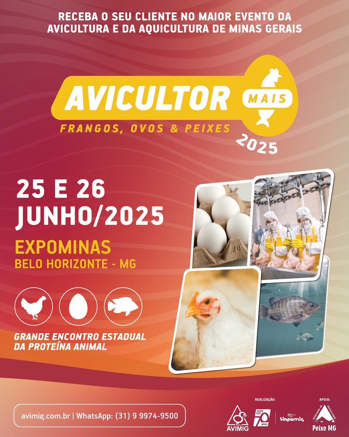 Avicultor Mais 2025