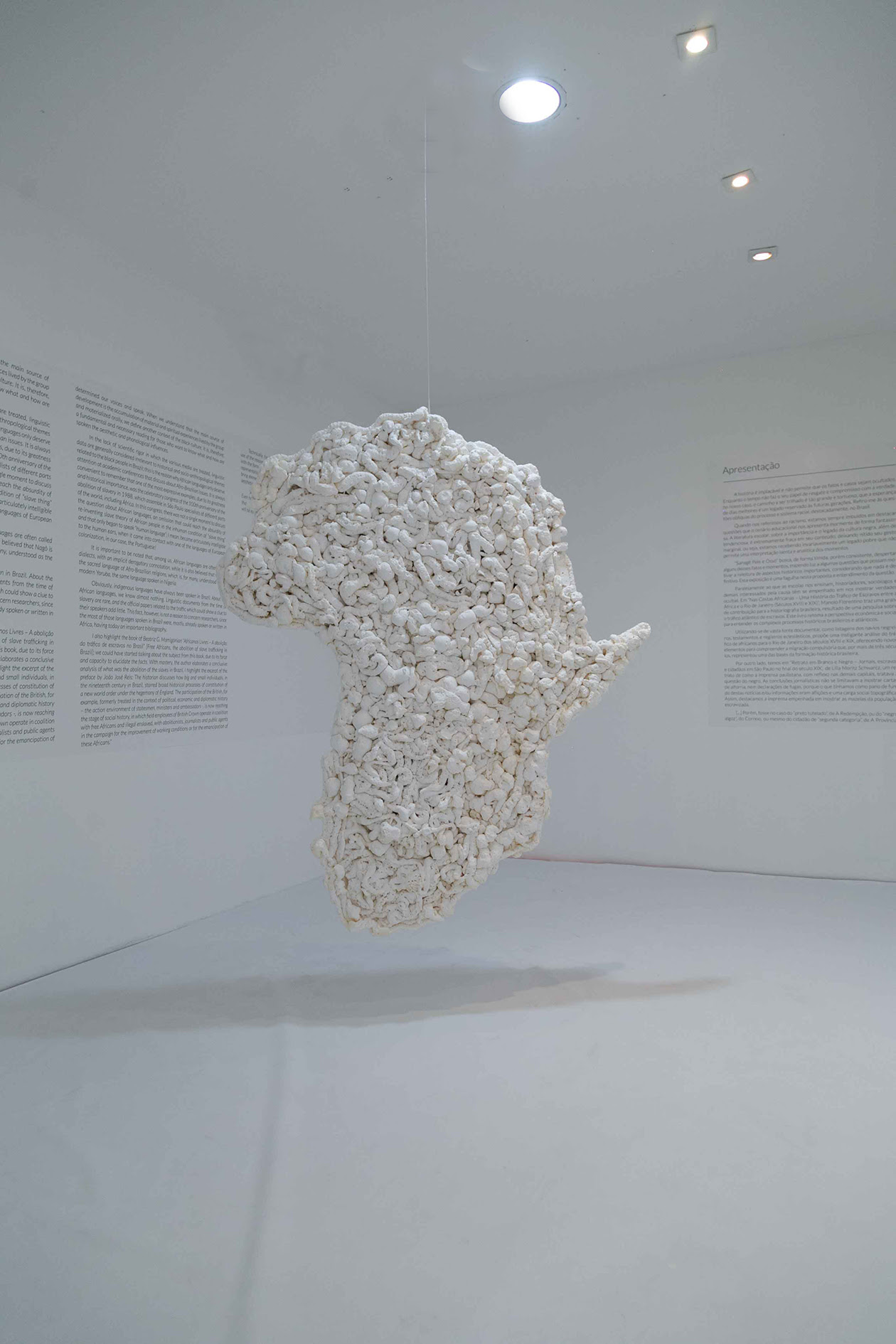 Exposição: Pele e Osso , do artista Sanagê