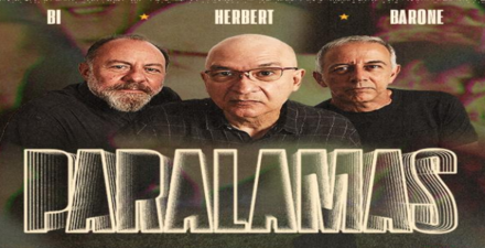 Show: Os Paralamas do Sucesso