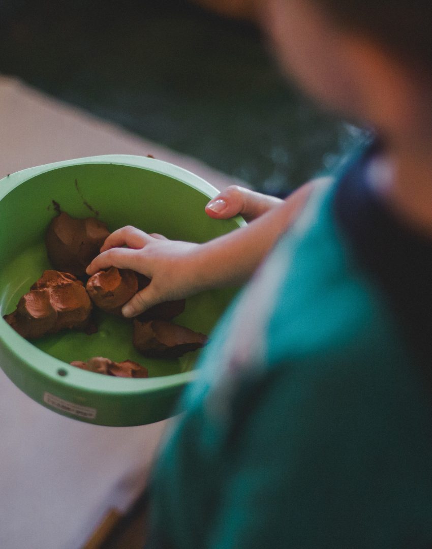 Contação de histórias e criação de bichos